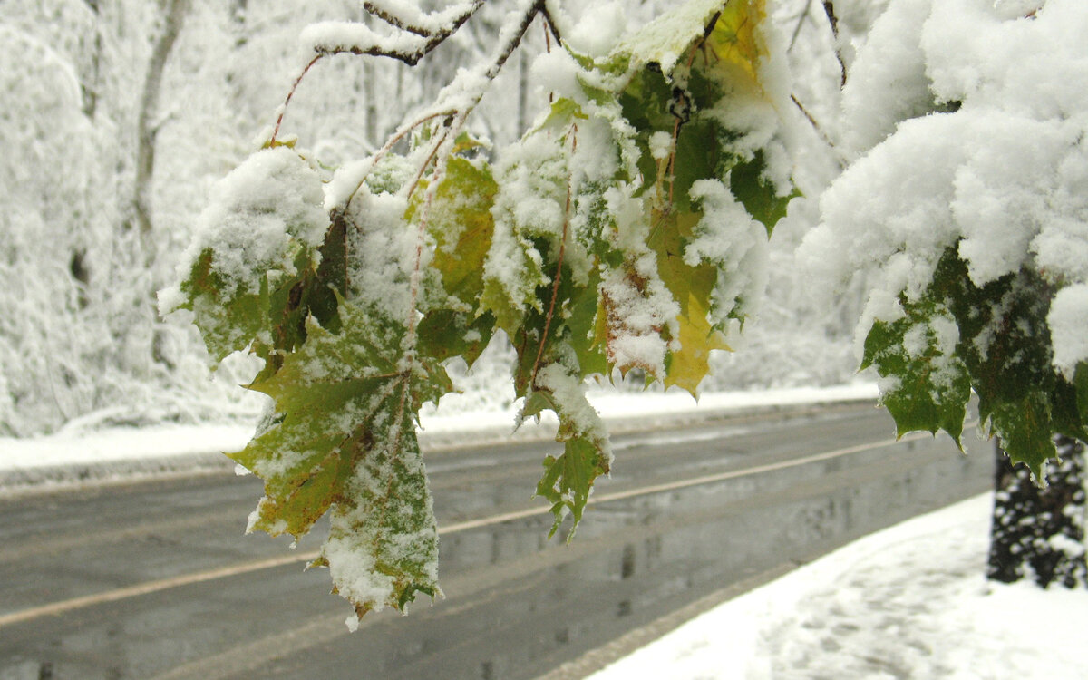 vsegda-pomnim.com