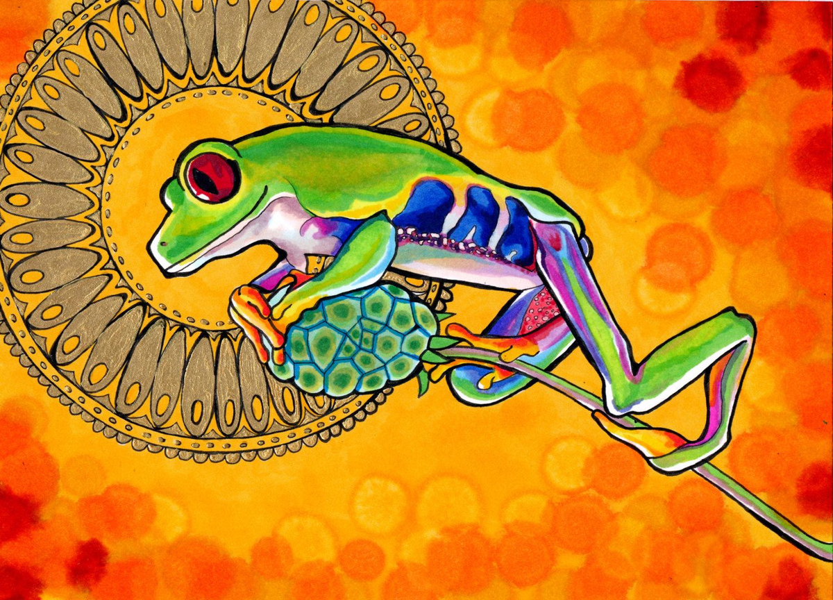 Яд лягушки камбо иногда подаётся как несущий психоделические свойства, хотя на самом деле это не так. / Рисунок PaintMyWorldRainbow.