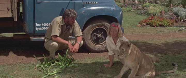 Кадр из фильма "Рожденная свободной" взят для иллюстрации из Яндекс Картинки. 