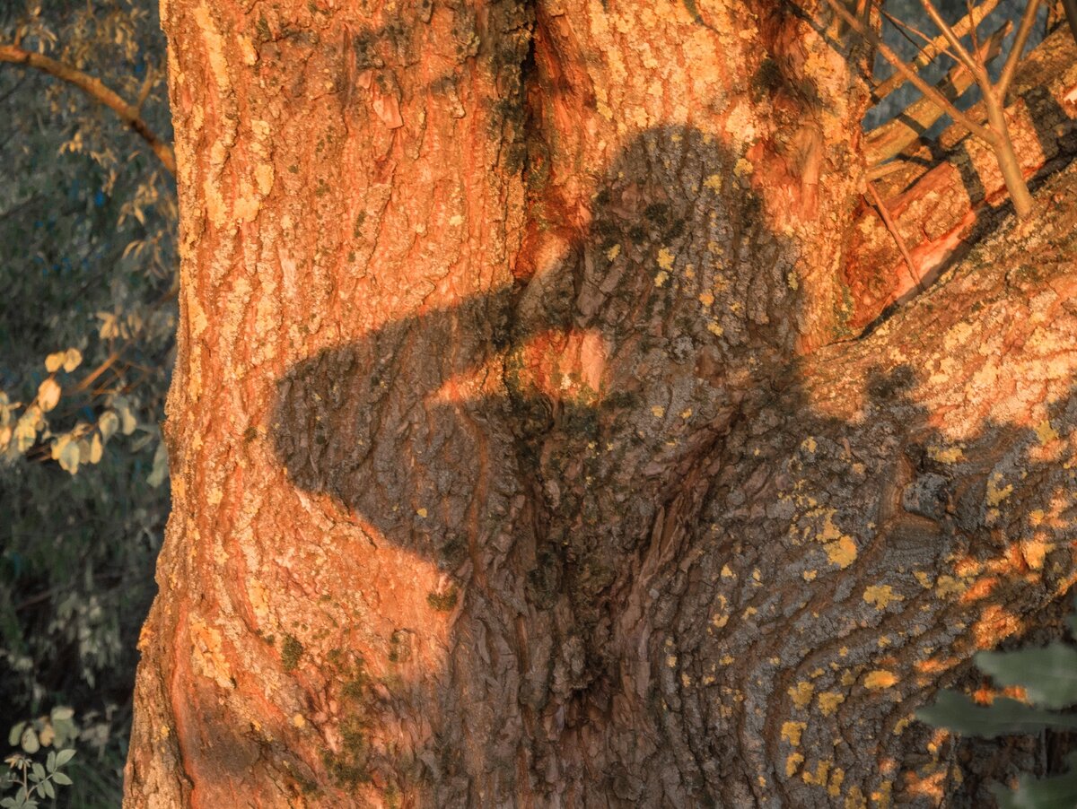 Фото: Павел Борисов