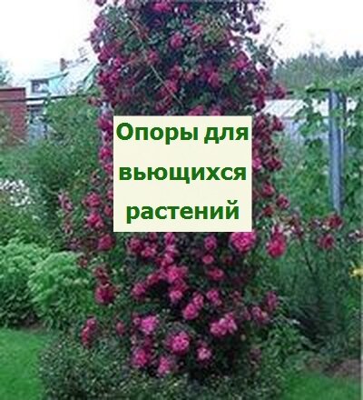 опоры для вьющихся растений