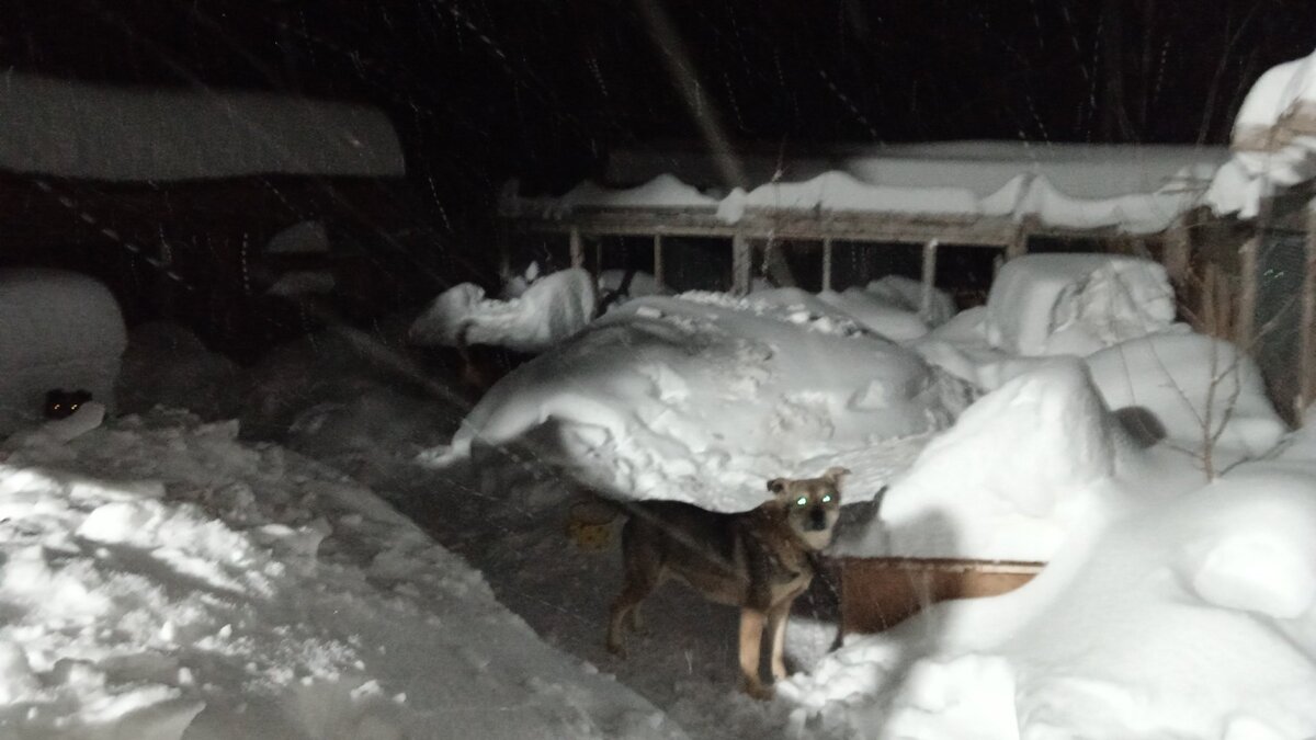 мальчик звезда. зажги спи. зажги спи. перед сном барто текст. тихо спустилась ночь.