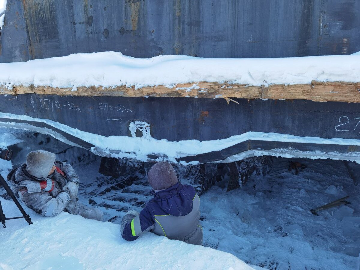 Выморозчики в майне. Фото автора