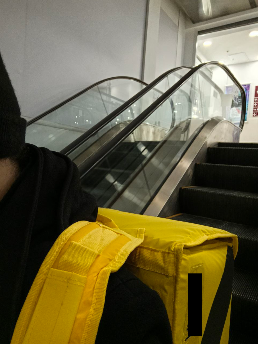 Вперед, в путь дорогу!