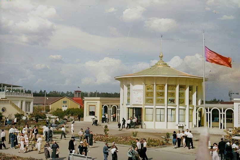 Вднх 19 мая. ВДНХ пальмы 1960-х