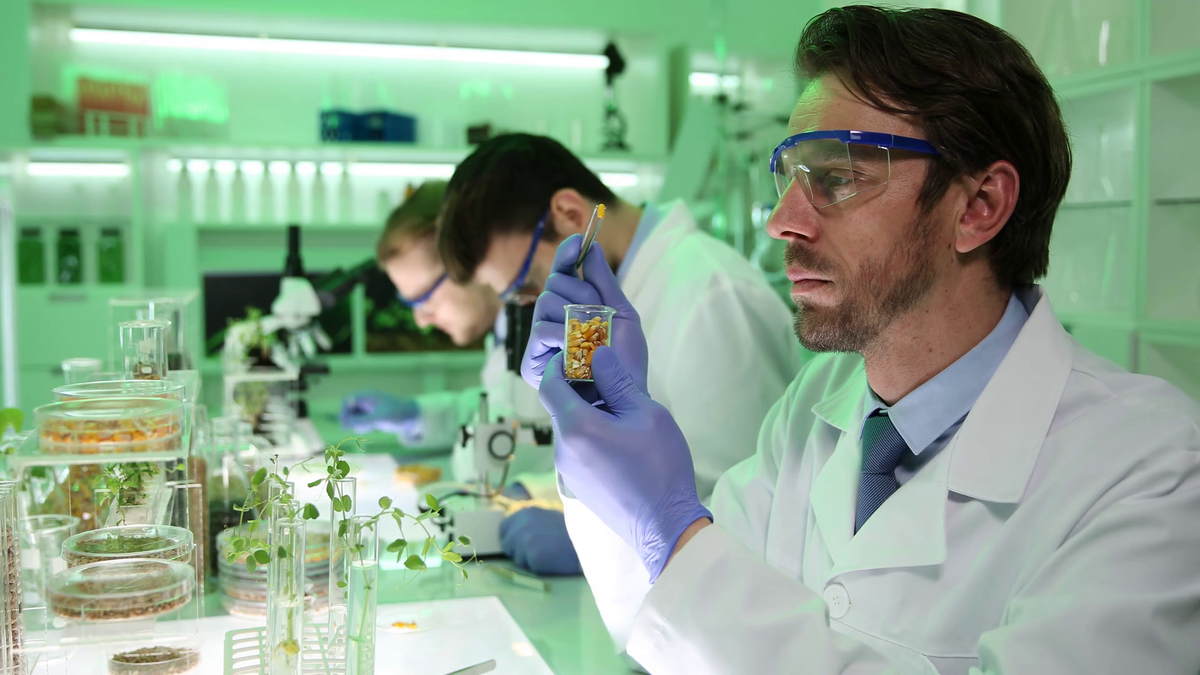 профессиограмма выбранной профессии. презентация профессии. выбор профессии. выбор профессии в 1 год. профориентация выбор профессии.