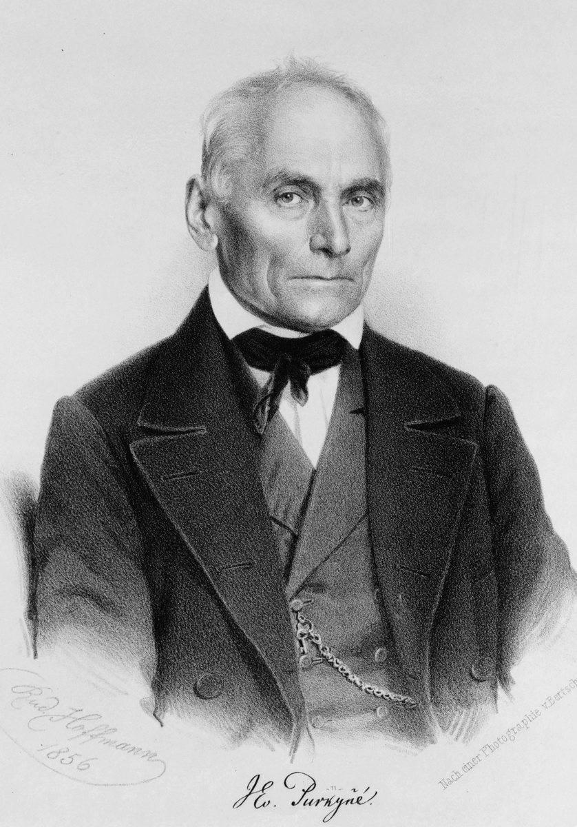 С легкой руки этого ученого и возник дефиниционный парадокс 