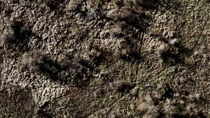 Фото: телеграм-канал Владимира Сальдо