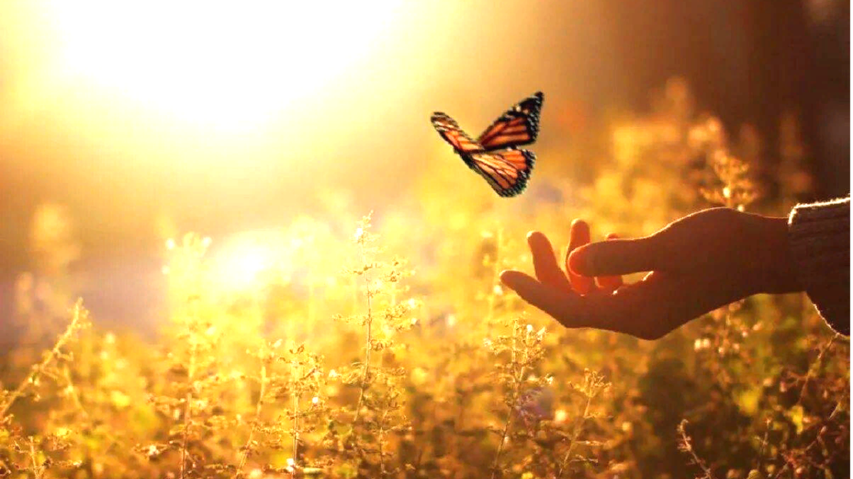 Позитивные эмоции. Девушка в солнечных лучах. Стать добрым счастливым. Женщина лето. Позитивная девушка.