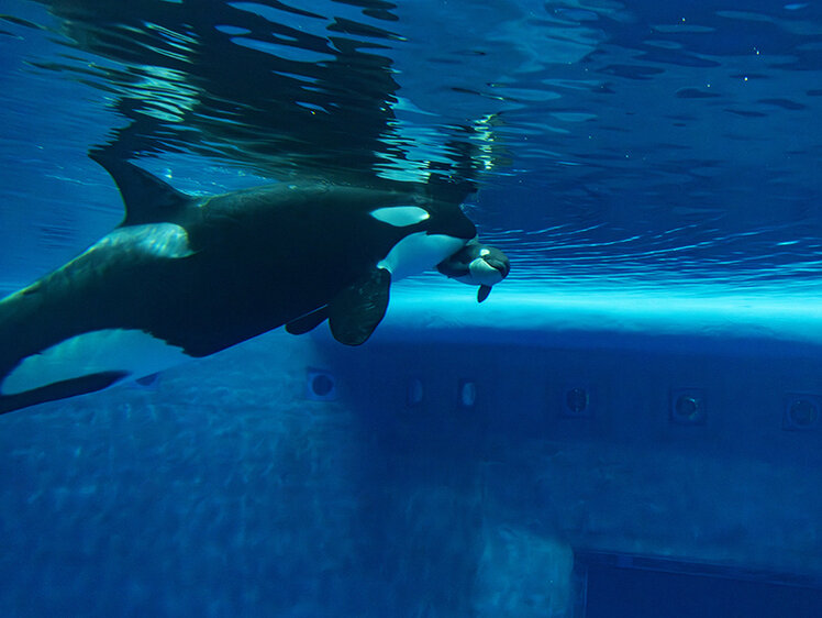 дожить до 30. оказывается если дожить до 30. оказывается если дожить до 30. оказывается если дожить до 30. оказывается если дожить до 30.