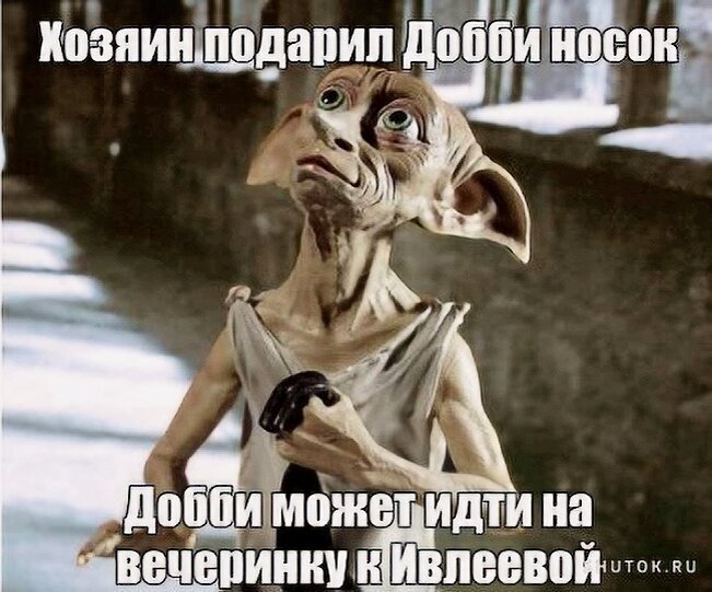 Цитаты 2023 г. Цитаты 2023 г. Путин цитаты 2022. Цитаты 2023 г. Вы же не дерево цитата.