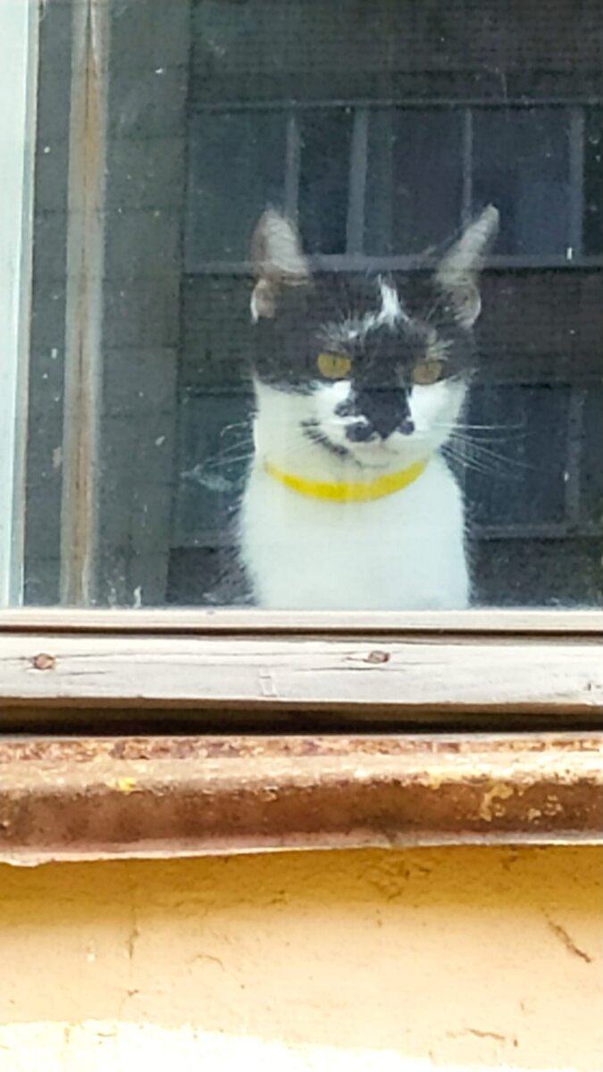 Мусенька. Фото автора