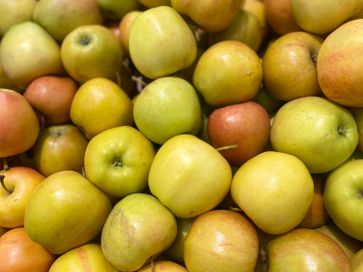 Способы сохранения витаминов в овощах. Ящик для хранения лекарств. Способы сохранения витаминов. Показателей климатического режима хранения. Санитарные требования к пищевым продуктам.