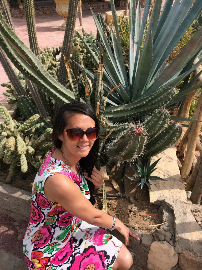 Фотография автора