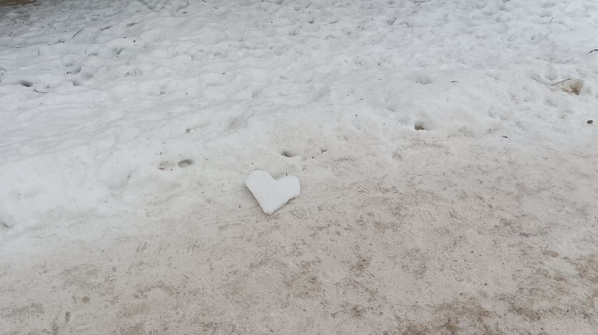 Шутки про красную шапочку и волка. Наружу что обозначает наружу. Как понять левая или правая дверь. Принцип компоновки изнутри-наружу. Наружу это.