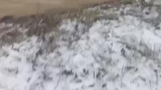 Значок бота. R. Center zarabotka bot. Чат бот. Торговля роботом.