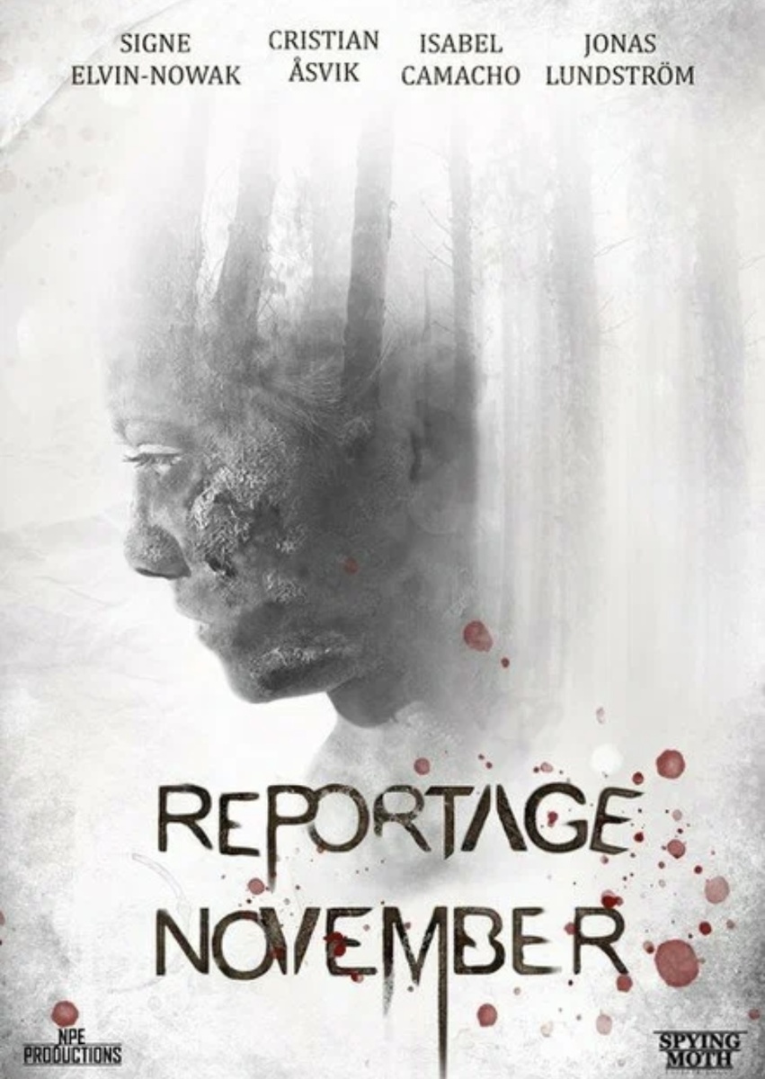 Загадочная смерть матери и исчезновение ее ребенка приводят группу журналистов-фрилансеров в сельскую местность Швеции.