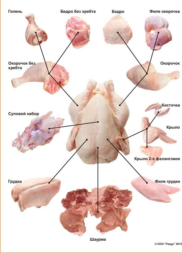 Как разделать курицу на шашлык. Схема разделки тушки цыпленка-бройлера. Части тушек цыплят бройлеров. Схема разделки мяса цыплёнка бройлера. Схема разделки куриной тушки.
