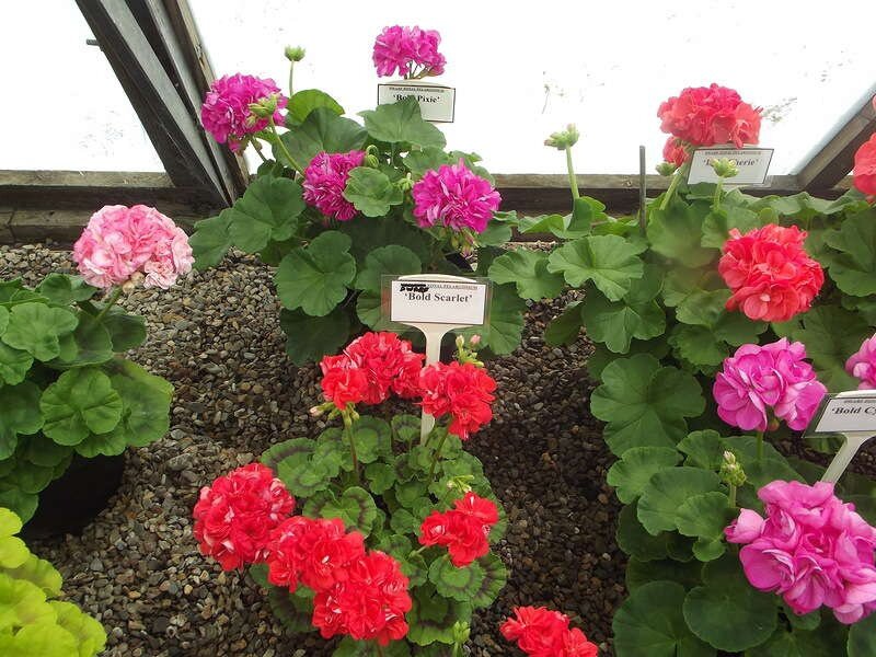 запись хотя знает