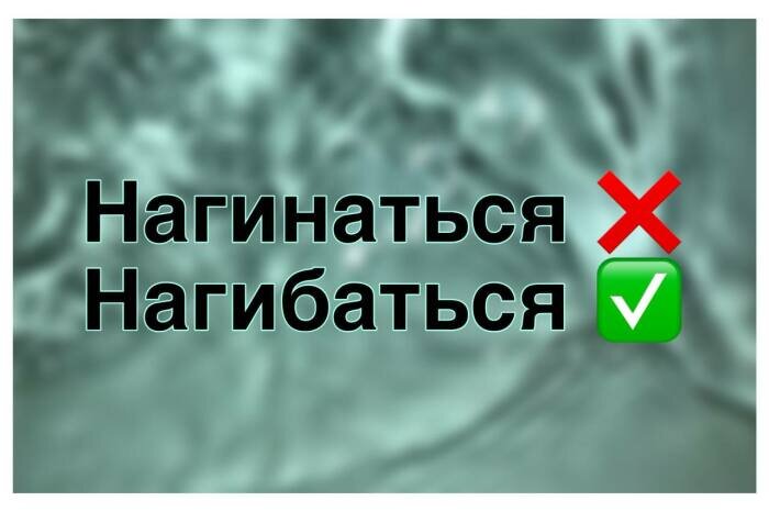 Нагинаться или нагибаться как правильно писать. Нагинаться. Нагинаться или нагибаться. Жгёт. Лягте или ляжте.