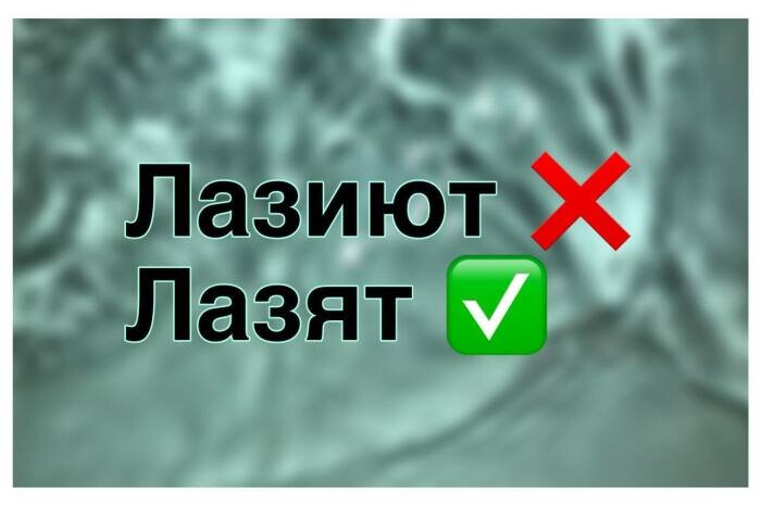 неправильный язык