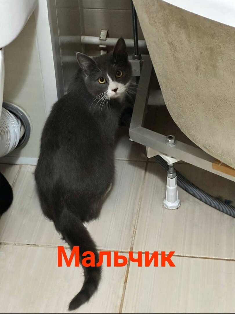 Успешный мужчина. Марат музаев. Как стать добрым и спокойным человеком. Очень радостный человек. Как стать добрым человеком.