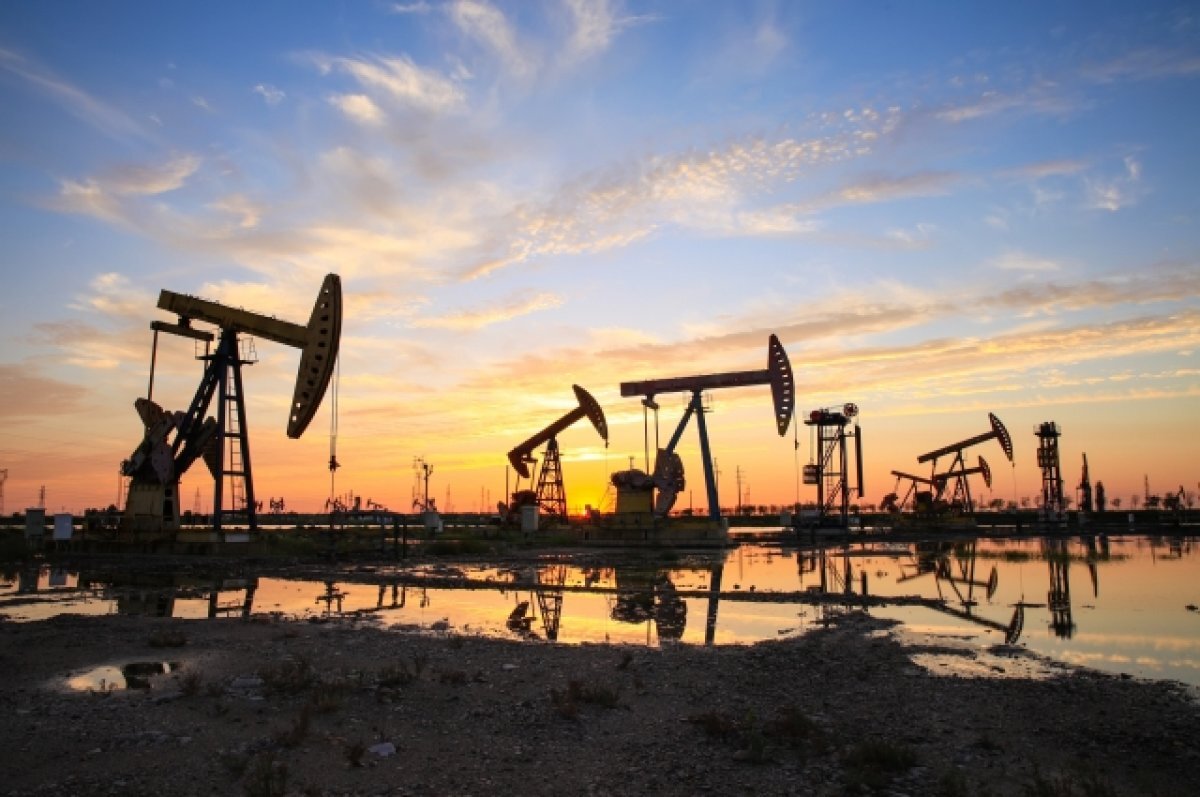    Россия экспортировала 193 миллиона тонн нефти в страны АТР в 2023 году