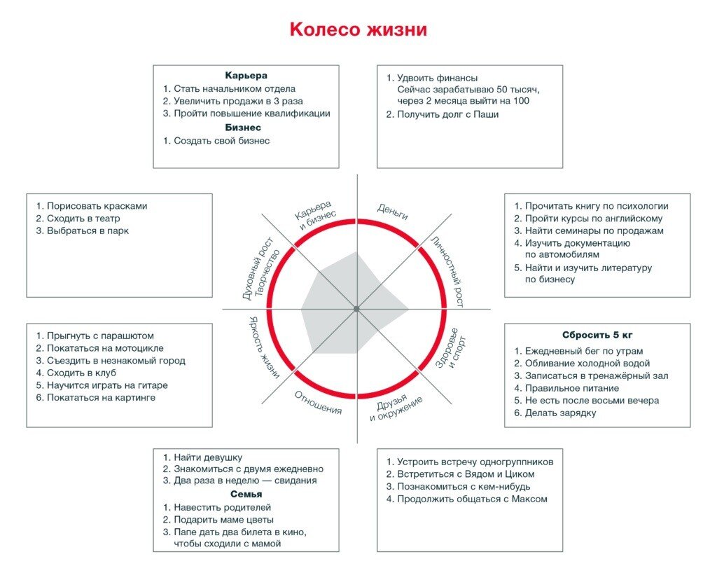 Колесо жизни, как оптимизировать свою жизнь с этой техникой | Советы  современной женщины | Дзен