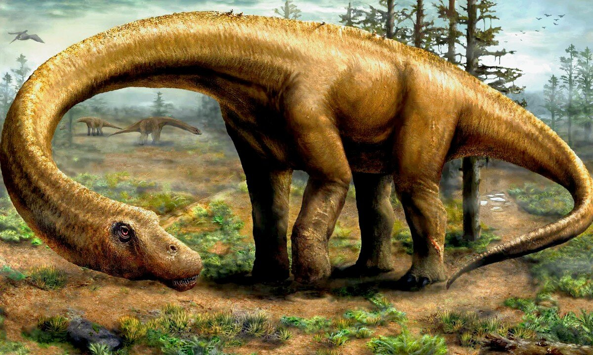 Главные динозавры. Dreadnoughtus schrani. Камаразавр Бронтозавр. Дредноут динозавр. Дредноут зауропод.