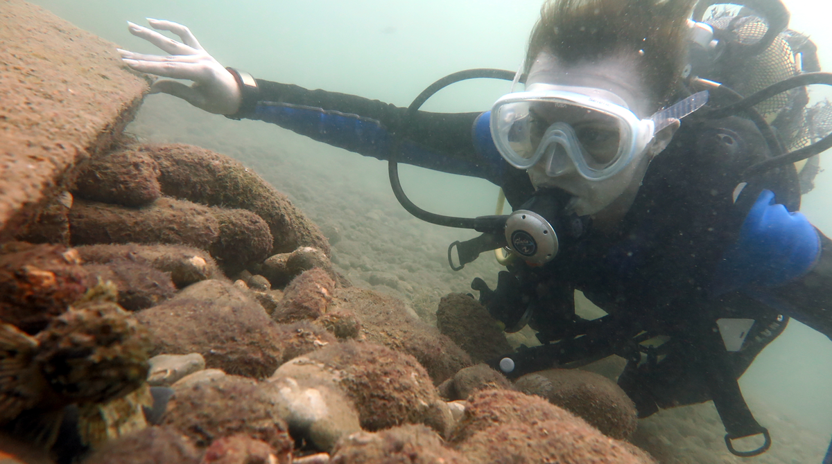 миатрисс вдох. вдох закрой глаза. выдох сердца стук. музыка про бейби в фнаф. выдох сердца стук.