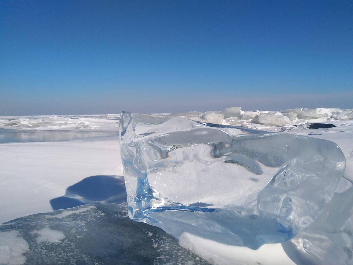 Это тоже Приморский край, озеро Ханка.