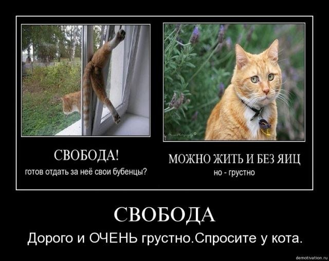 дайте свободу. есенин если крикнет рать святая. дайте мне св. нужно давать человеку свободу. дайте мне св.