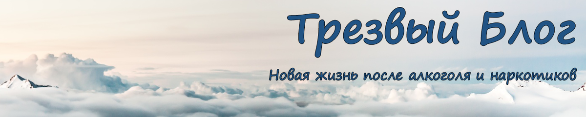 трезвый дневник