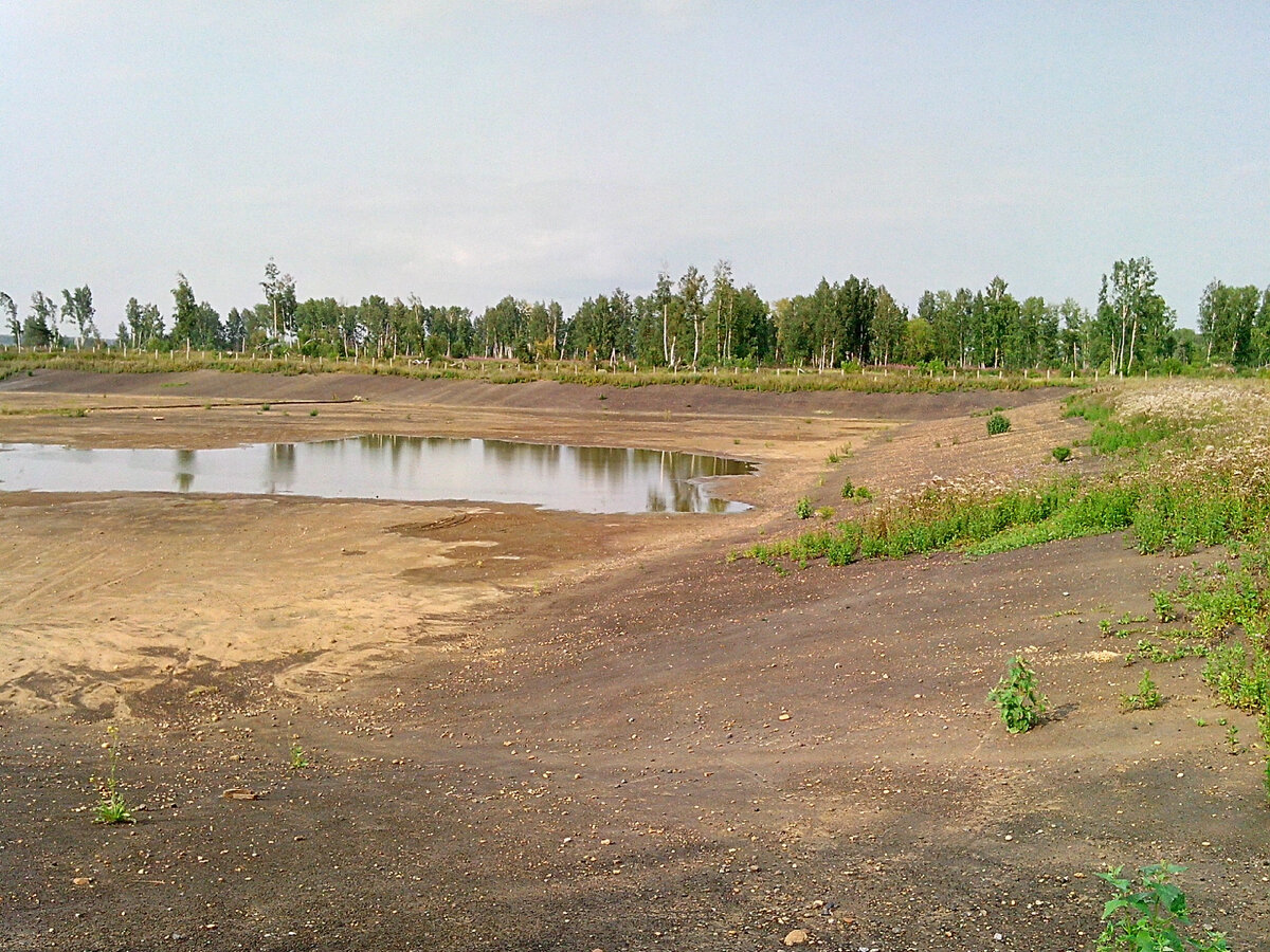 фэнтези апокалипсис. город мертвая земля. постапокалиптический город. апокалипс 2. Ruins руины бест.