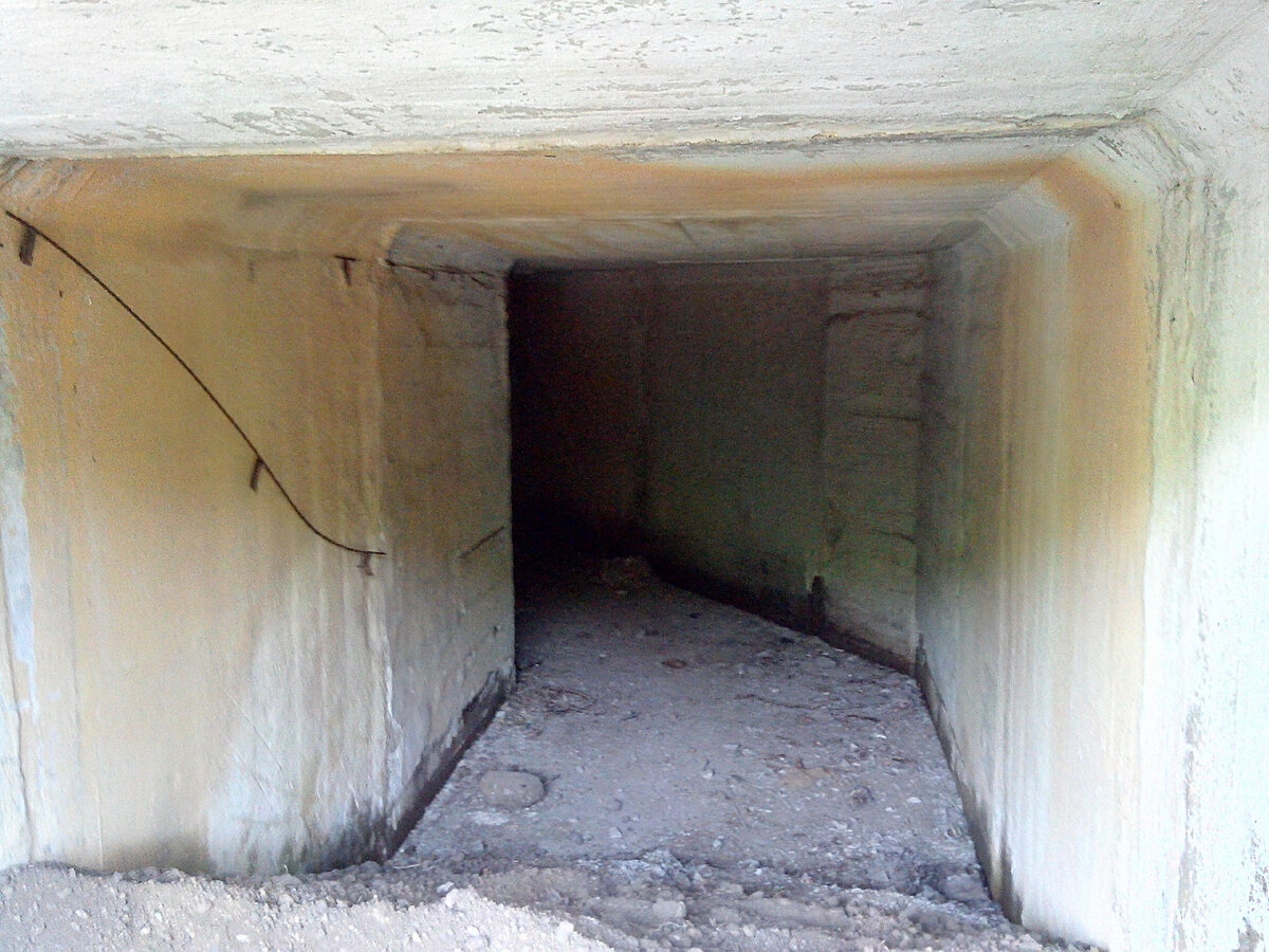 Земля мертвых фильм 2005. Проклятая земля фильм 2016. Дженнифер бэкстер земля мертвых. Проклятие. Земля погибает.