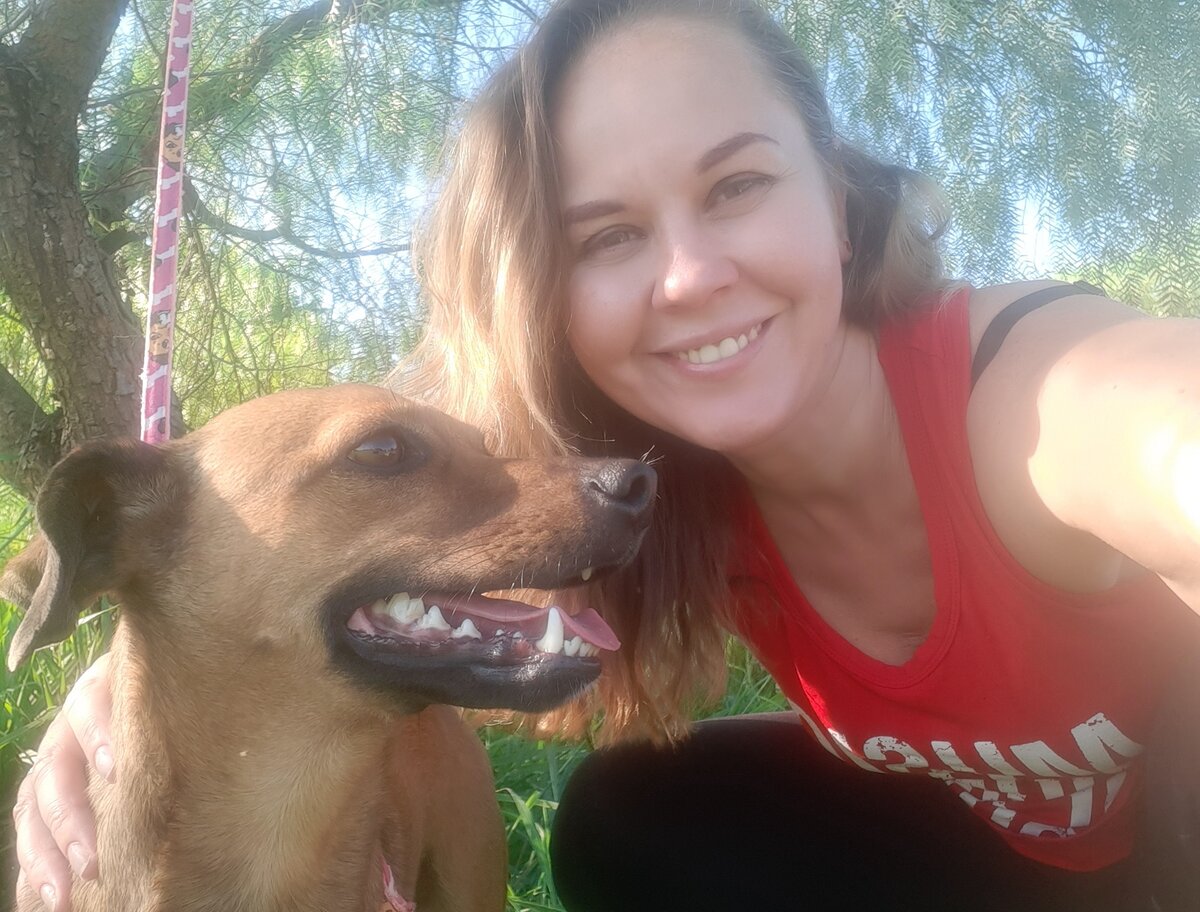 Лил псина. Собака лило. Lil pump 2020. Lil peep. Собака лил пипа.