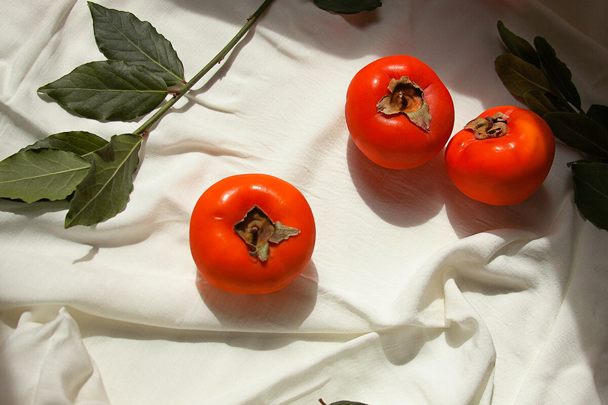 хурма в краснодаре в открытом грунте. дерево королевской хурмы. хурма виргинская крупноплодная. хурма бычье сердце дерево. хурма россиянка.