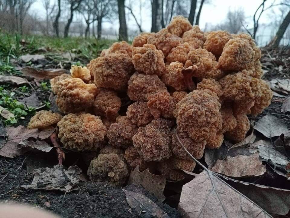 Сп 2019. Маркета давидова биатлон. Ооо интеграл спб. Ооо «интеграл-телеком». Биатлон.