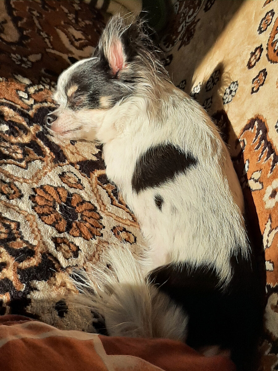 вот так она спит