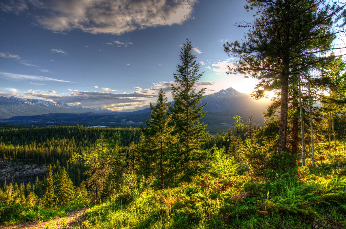 название песен о природе. красота природы в музыке. песни в которых воспевается красота природы. в. беседа о природе родного края.