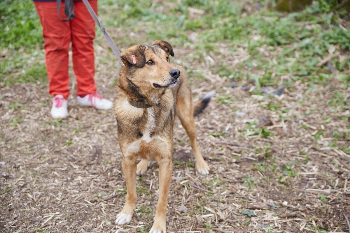 Тимеркаева гузель. Татарка grey татарка. Крымские татарки. Казанские татары внешность. Татарочки оренбурга гузель вахитова.