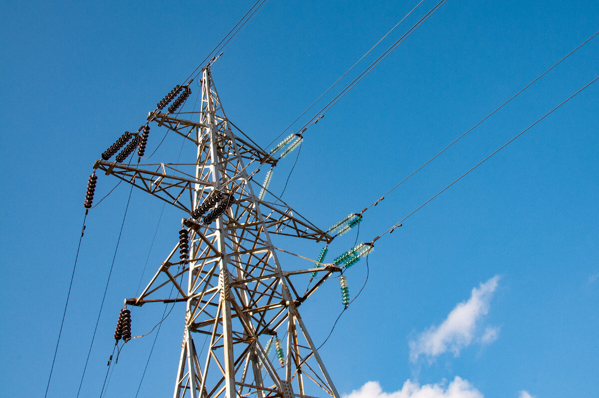 Фото: SVETLANA VOZMILOVA/GLOBAL LOOK PRESS