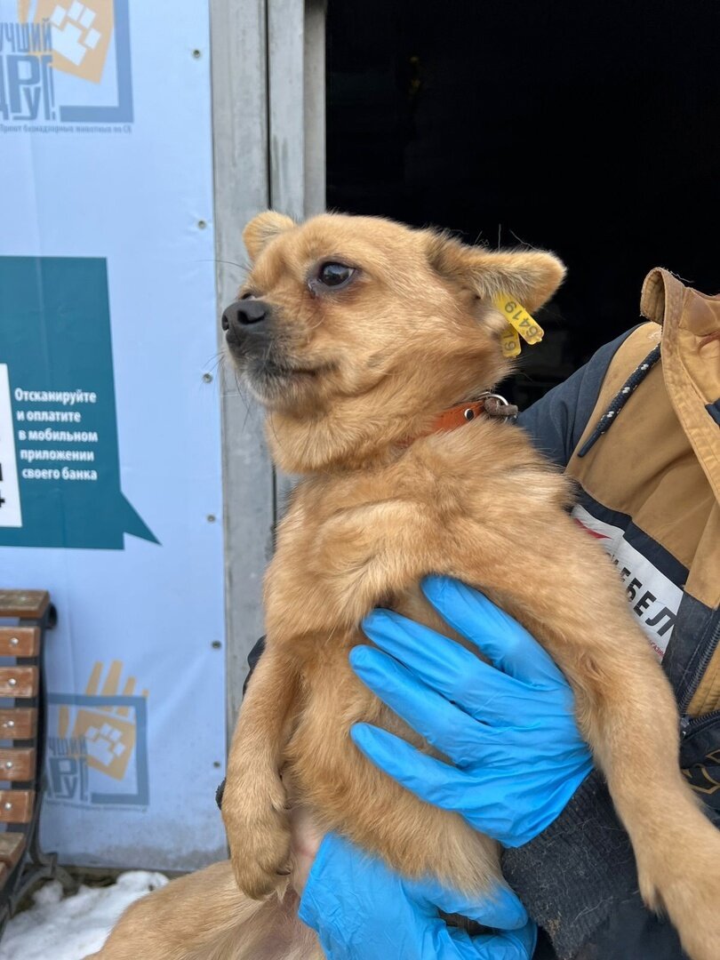 подарки детям из приюта. детский дом приют в солнцево. марьино приют.