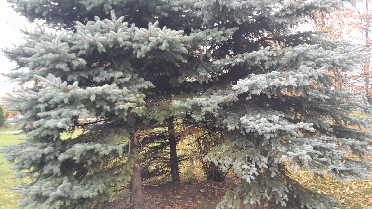 Фото Ирины Одарчук Паули