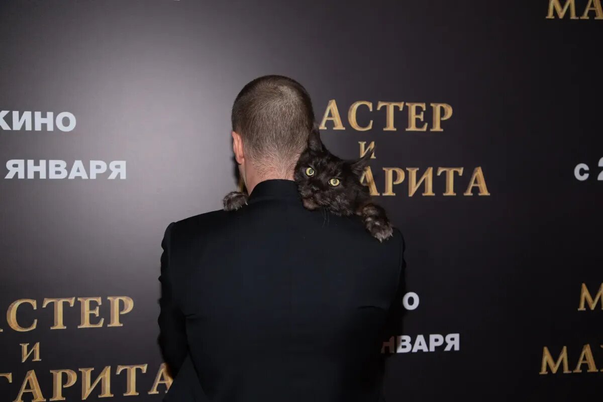 Мир не прочь. Мир не прочь