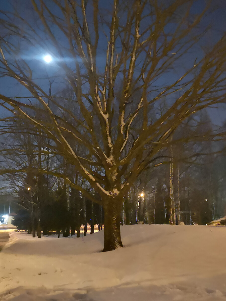 пела под луной я не предам