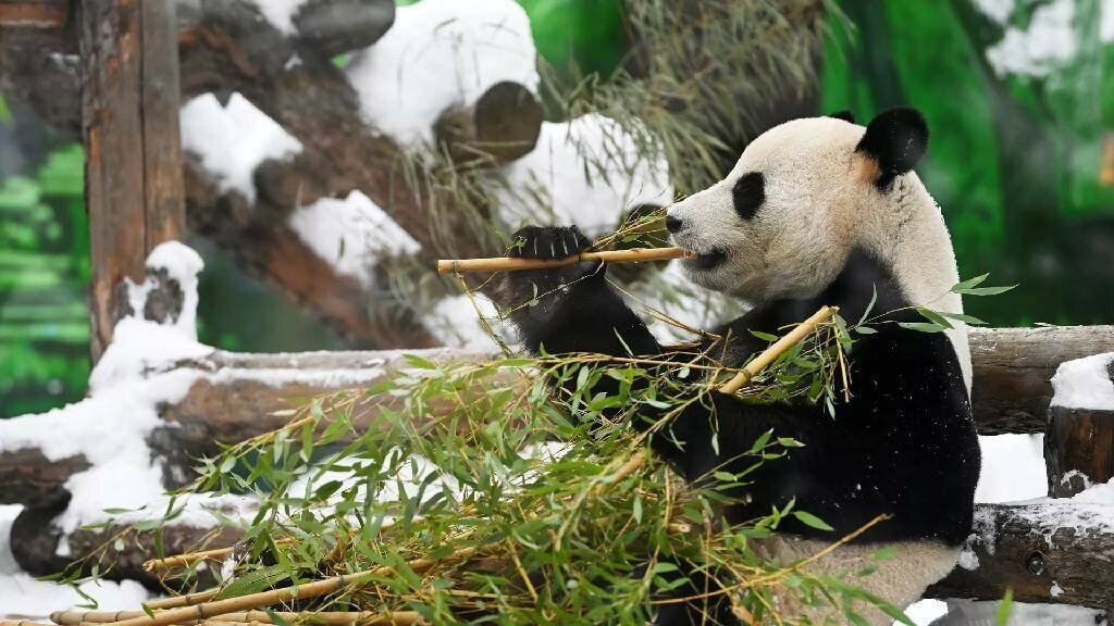 я так тебя жду. девушка возле окна. это одиночество. тебя сегодня праздник ждет. веселый ждун.