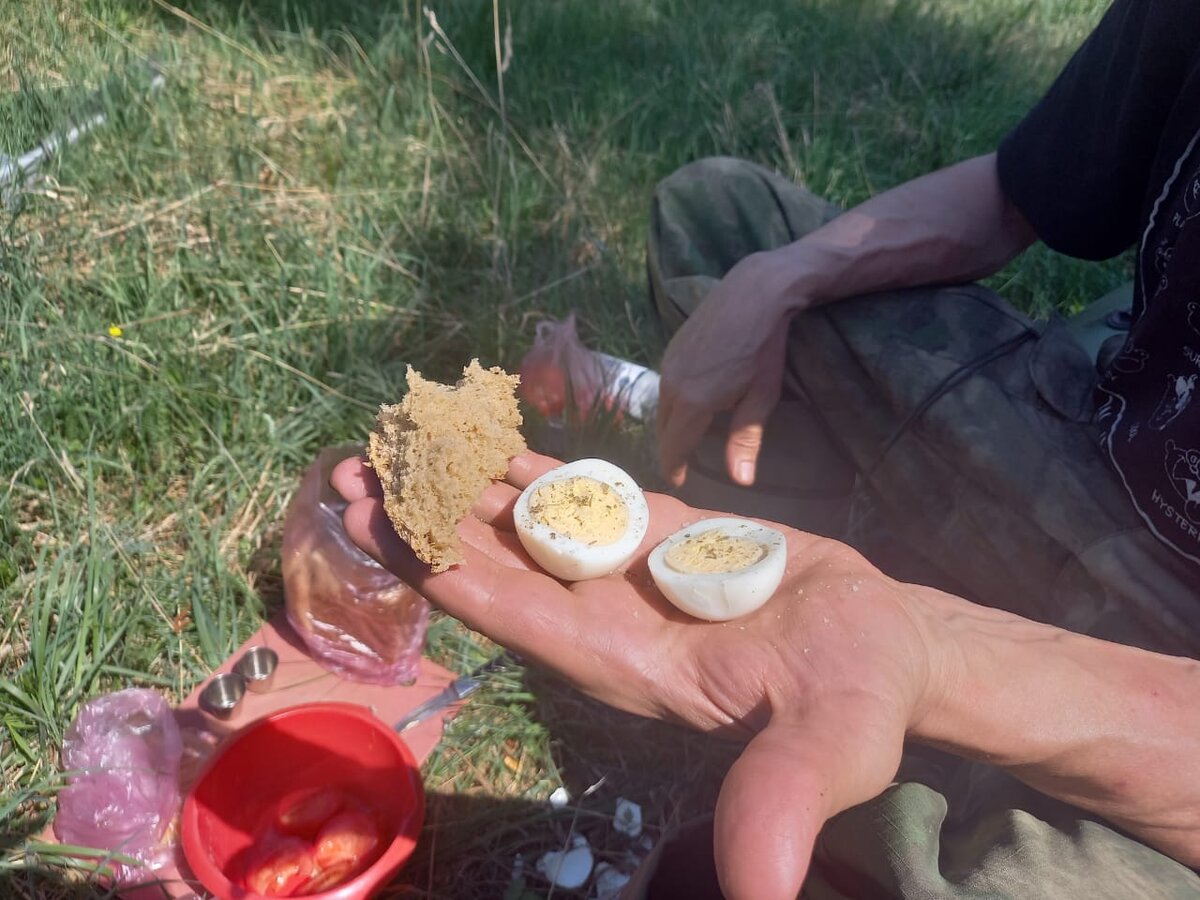 Просто вареное яйцо и кусочек хлеба. Стоянка. Река Майна.