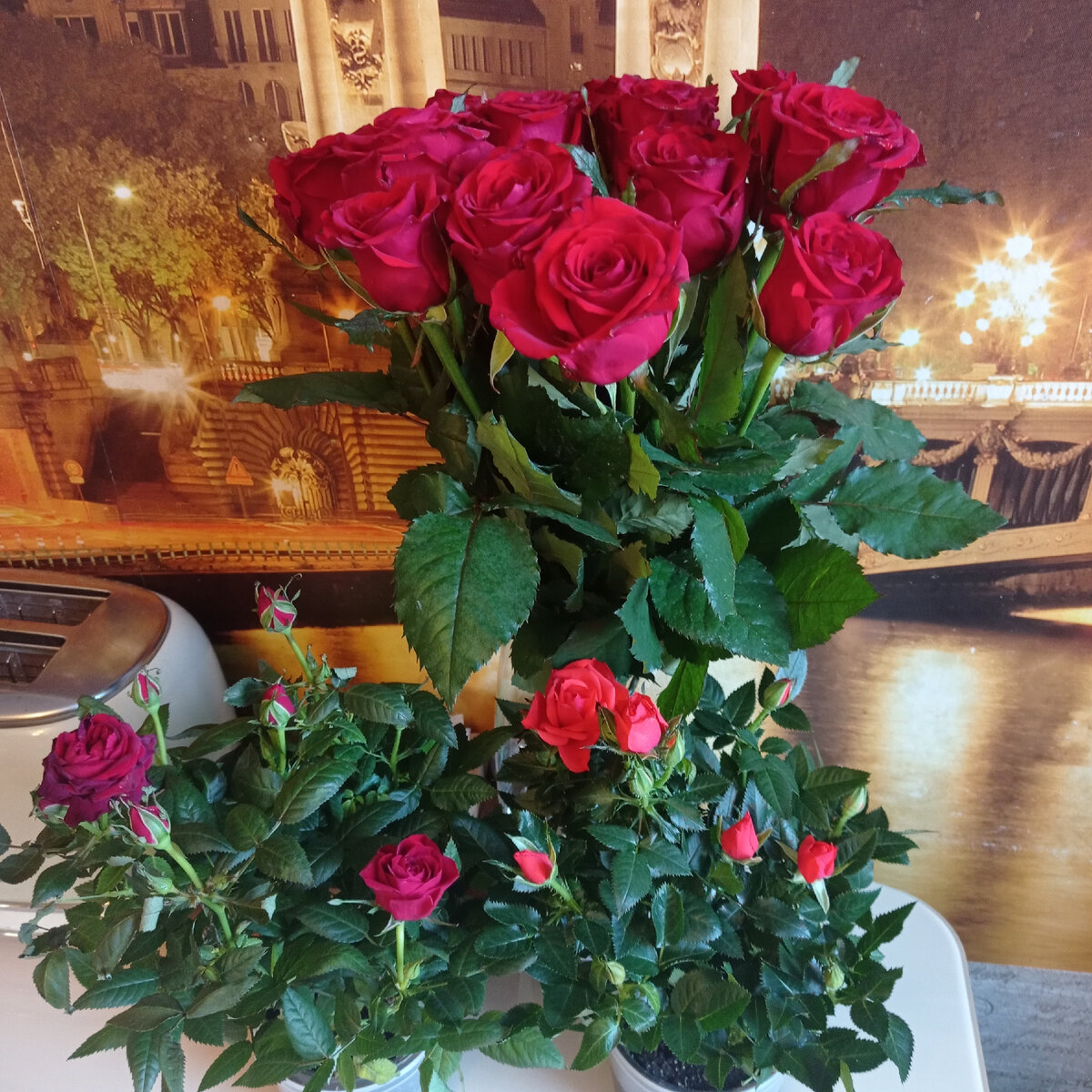 Глаз не оторвать