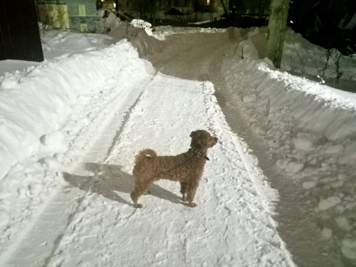 как живете с аутизмом. аутизм у взрослых. взрослые дети с аутизмом. как живете с аутизмом. взрослые аутисты.